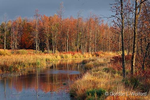 Jock River_09035.jpg - Photographed near Carleton Place, Ontario, Canada.